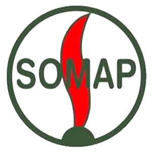 Somap